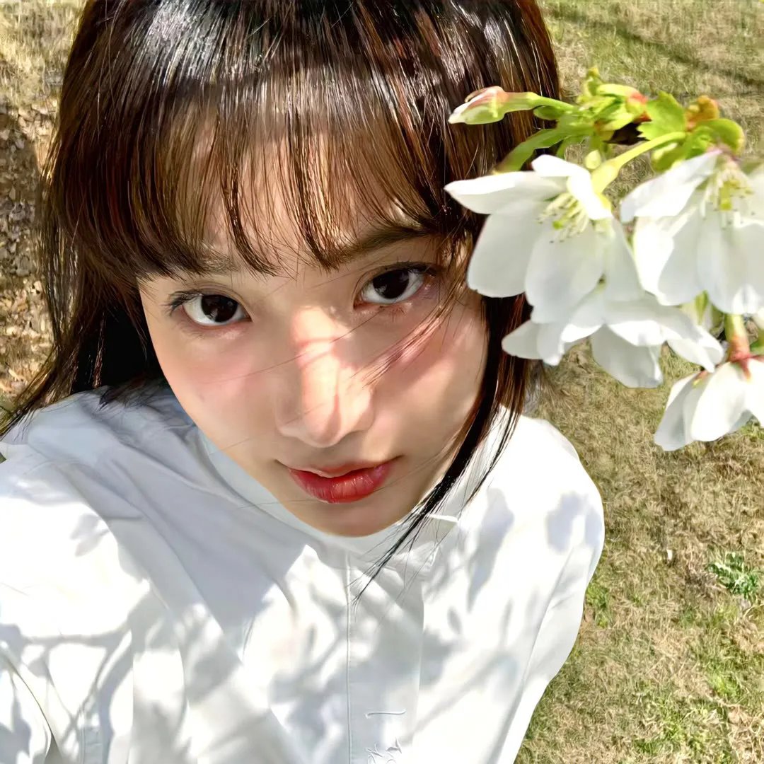 烟花女子哈洛特堕落记